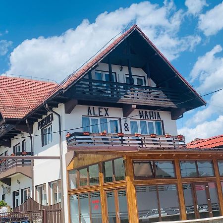 Alex & Maria Hotel Carpinisu Bagian luar foto