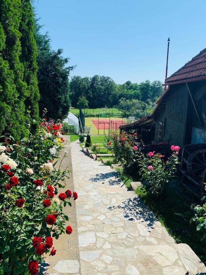 Alex & Maria Hotel Carpinisu Bagian luar foto
