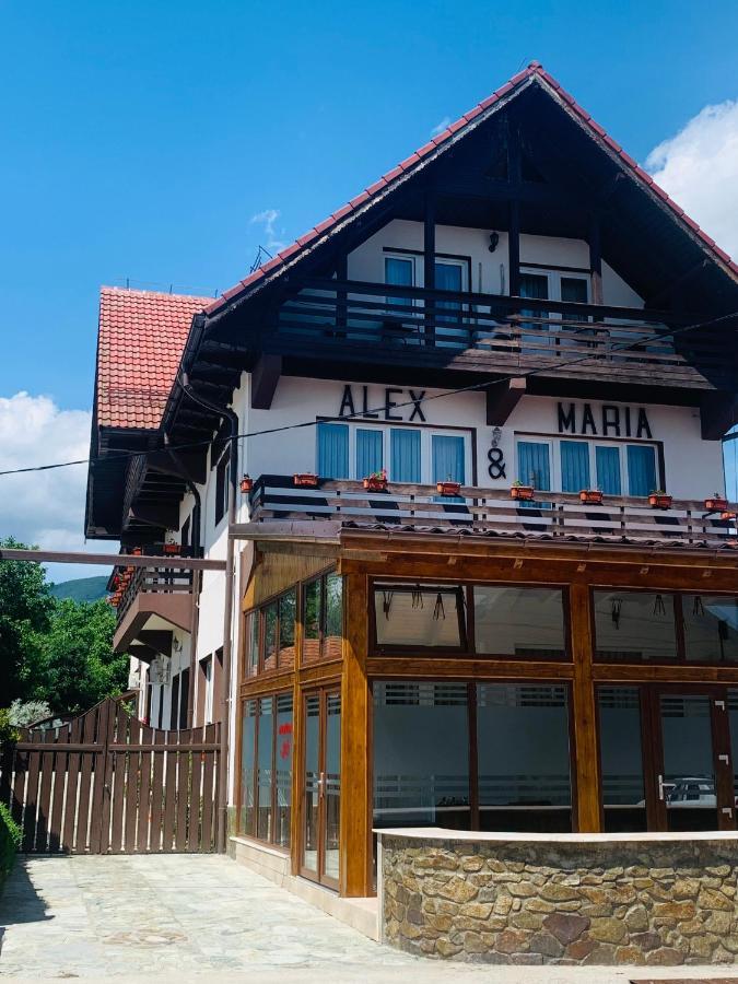 Alex & Maria Hotel Carpinisu Bagian luar foto